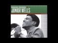 Junior Wells - Tobacco Road [HD]
