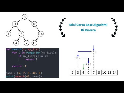 Mini Corso Base Algoritmi Di Ricerca | Python [ITA]