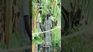 Return Of Omo Highway Yoruba Movie 2023 | Official Trailer | Now Showing On ApataTV+
