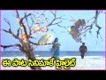 ఈ పాట సినిమాకే హైలైట్ Krishnam Raju Jayaprada Superhit Video Son