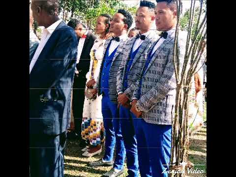 Sanyii Taddee biruu sanyi nama jabaa