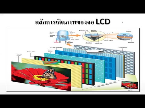 คลิกเพื่อดูคลิปวิดีโอ
