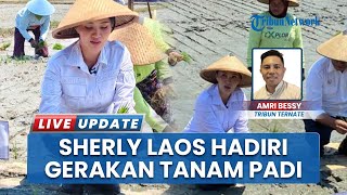 Gubernur Maluku Utara Sherly Laos Turun ke Sawah, Dukung Gerakan Tanam Padi di Halmahera Timur