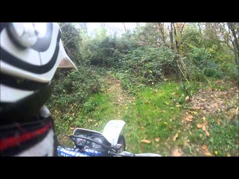 Suzuki DR 350 - breve giro autunnale