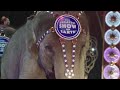 Circus Appreciates Military