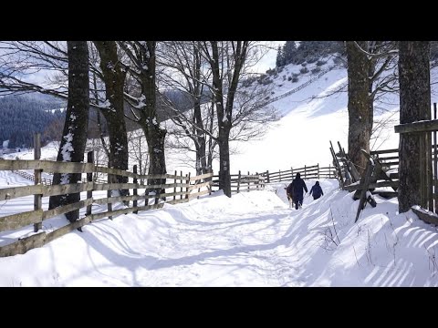 ❄️ Descoperă Sohodol iarna – Peisaje de poveste și liniște autentică la munte!