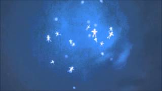 Patent Ochsner - Companero