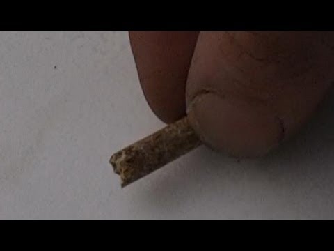 Wood Pellets - Just Add Water!