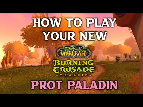 How to Play Your New Prot Paladin Tank
