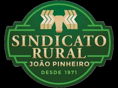 🐮TRADICIONAL LEILÃO DE GADO DE CORTE DO SINDICATO RURAL DE JOAO PINHEIRO - MG
