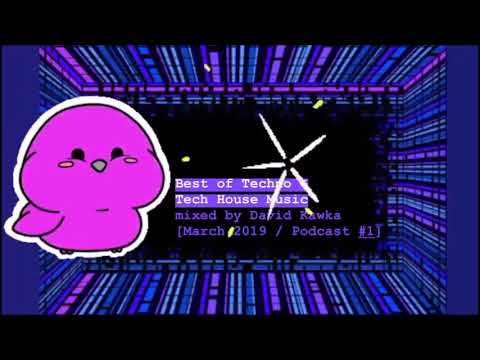 Best of Techno & Tech House Music mixed by David Kawka (Megamix - Podcast #1) / March 2019