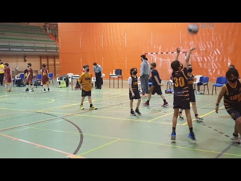 Alevín Masc 1 - Lions Arroyomolinos vs Alcobendas