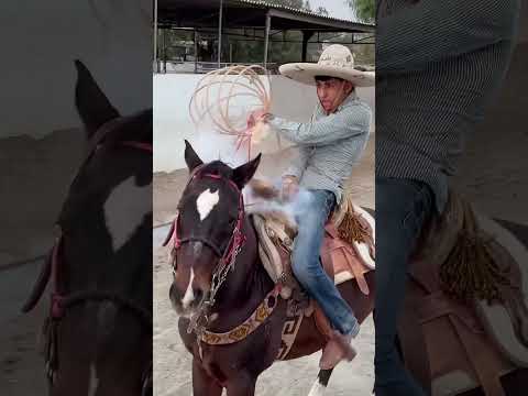 This Cowboy Sport Is Intense!