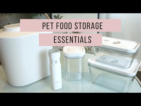 How To Keep Pet Food Fresh? My Top 3 Pet Food Storage Solution and Essentials