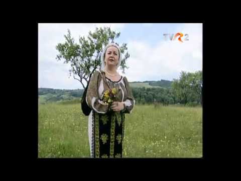 Floarea Calota - Mai morare, dumneata