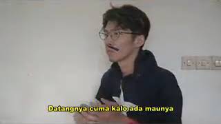 havana parody edisi teman setengah