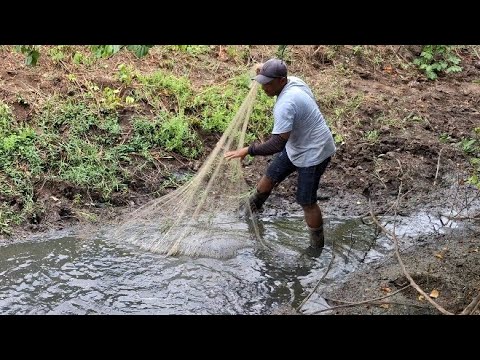 Um olho d'água quase seco fervendo de peixe no meio da caatinga paraibana 