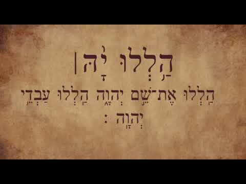 הללויה 𝄞  הללו את שם יי' ★ תהלים קל"ה 135 ★ יאיר חדאד