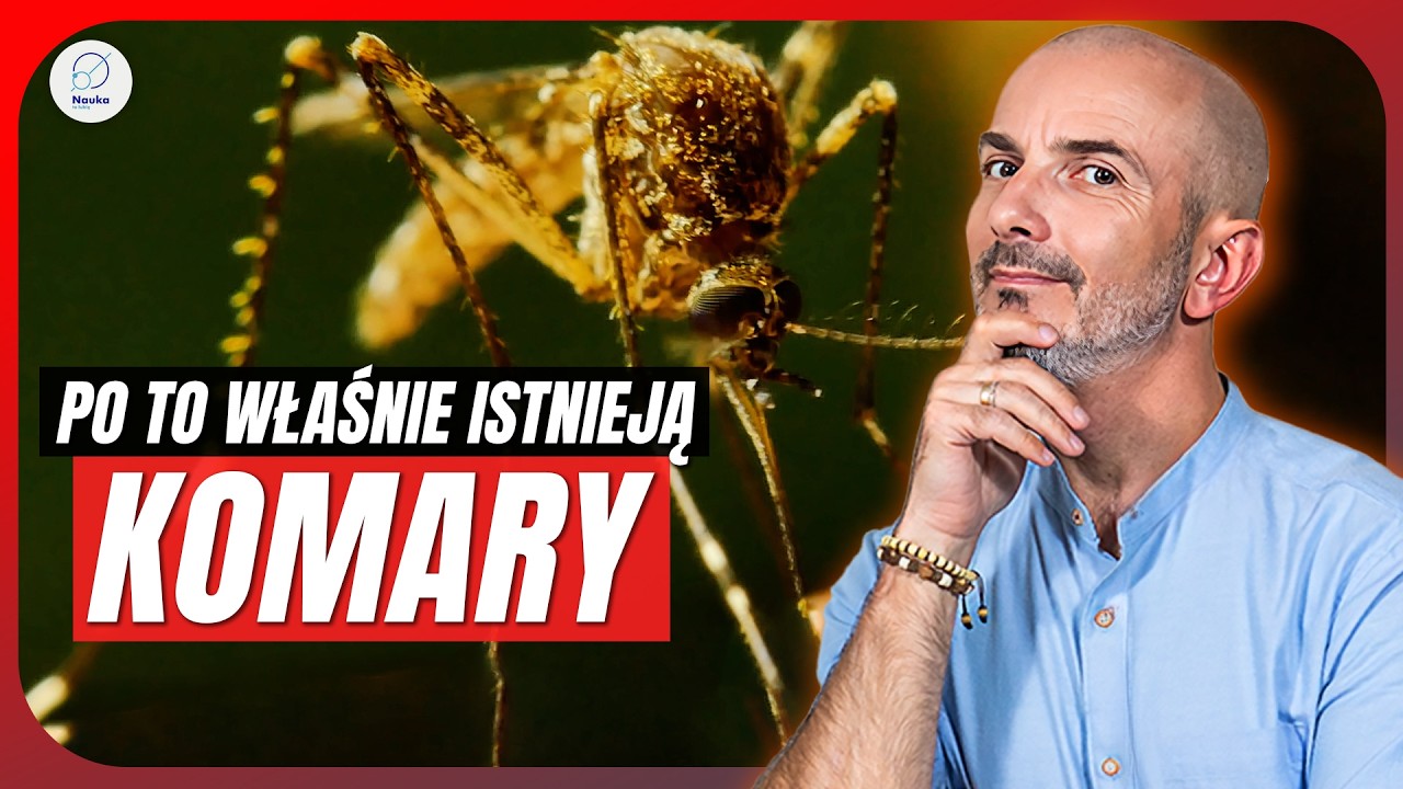 Jak KOMARY zmieniły bieg historii?
