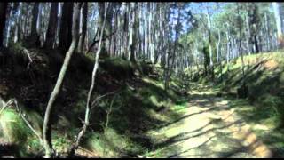 preview picture of video 'Goldfields Track - Wombat Forest Walk'