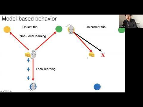 Talk: Experience replay supports non-local learning