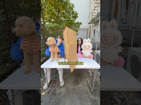 Lying Game With My Sister