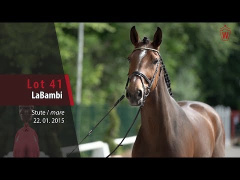 41 LaBambi Stute v. Larson - Phantom