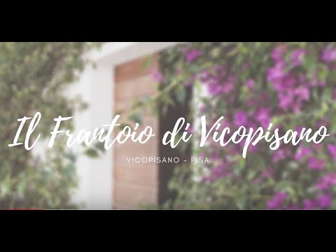 An overview of the Farm Azienda Agricola Il Frantoio di Vicopisano ENG