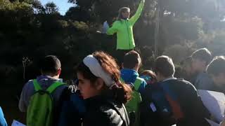Cross de Orientación.