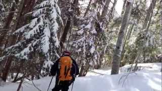 preview picture of video 'Descente en ski de randonnée de la forêt du Lindar - Bauges - Savoie'
