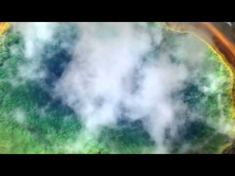 Riccardo Eberspacher - Black Orchid