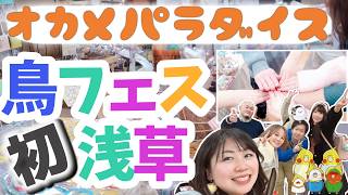 オカメパラダイス【初鳥フェス浅草2026/1/31～2/1】