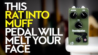Video thumbnail for Drunk Beaver Disambiguation - Rat-into-Muff unique circuit (demo and giveaway) by We As A Company