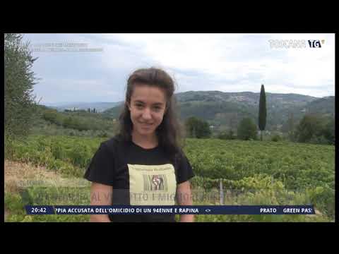 2021-09-04 TG REGIONALE ORE 20.30