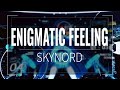 【Skynord】 Enigmatic Feeling 『Male Cover』 