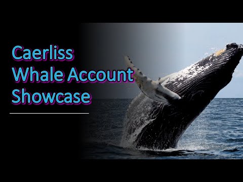 What does a Whale Account look like? Caerliss Account Showcase