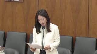 参政党　島村かおる　2026年4月28日　国会中継