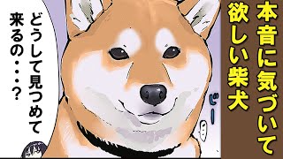 ガサッひょこ焼けますたか、ごすじん! - 柴犬と言えど察して欲しいときもある【アニメ】【漫画】