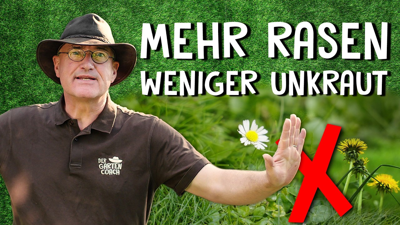 Rasenpflege Video 1