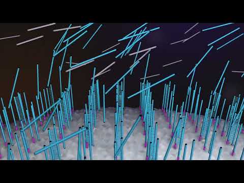 Illumina Methylation Microarrays: A Breakthrough in Disease Research