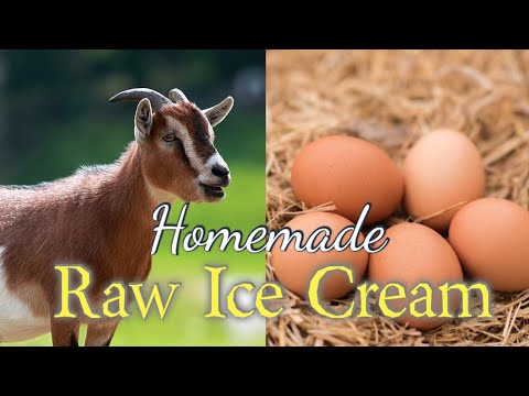 How to make Homemade Ice Cream 🍦 with Raw Goat 🐐 Milk and Raw Eggs 🥚🥚🥚