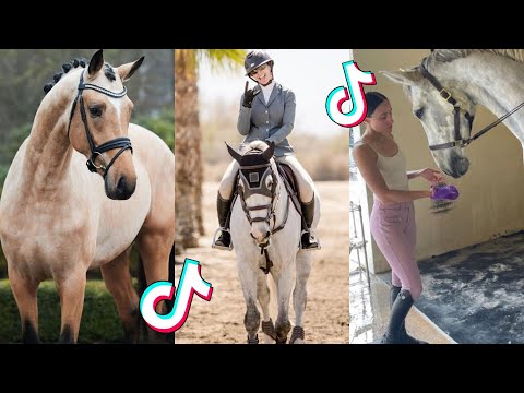 1 HOUR Of Reletable HORSE TikTok Compilation #189