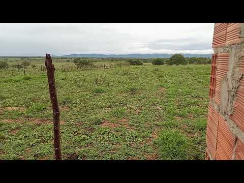 Estrela de Alagoas sítio calango capital do bola ⚽🏈
