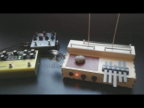 LeafAudio Microphonic Soundbox mk2 feat. Strymon Volante