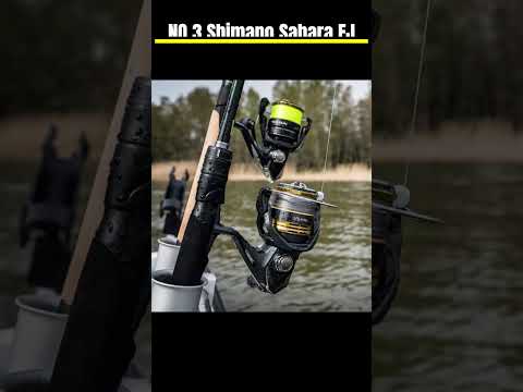 TOP 3 BEST SPINNING REELS  2024