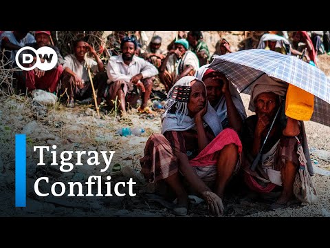 聯合國對陷入衣索匹亞提格雷衝突的厄立特里亞人的困境感到震驚｜DW新聞網 (UN 'alarmed' over plight of Eritreans caught up in Ethiopia's Tigray conflict | DW News)