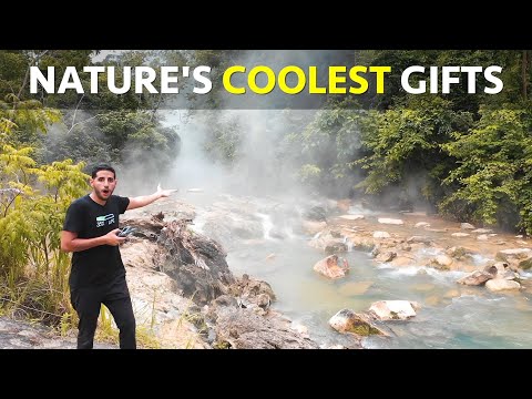 大自然最酷的禮物 (Nature's Coolest Gifts)