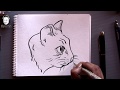 Update Draw a cat face, Video cat face line drawings paling dicari!