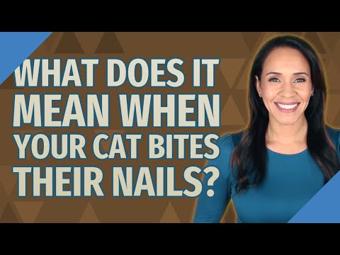 What does it mean when your cat bites their nails?