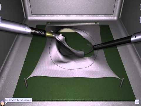 LapSim Task Training: Pattern Cutting